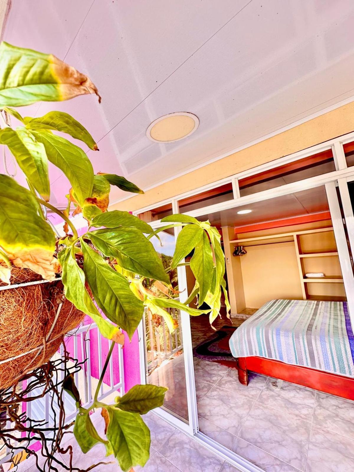 Posada Seven Colours Ocean Providencia  Esterno foto